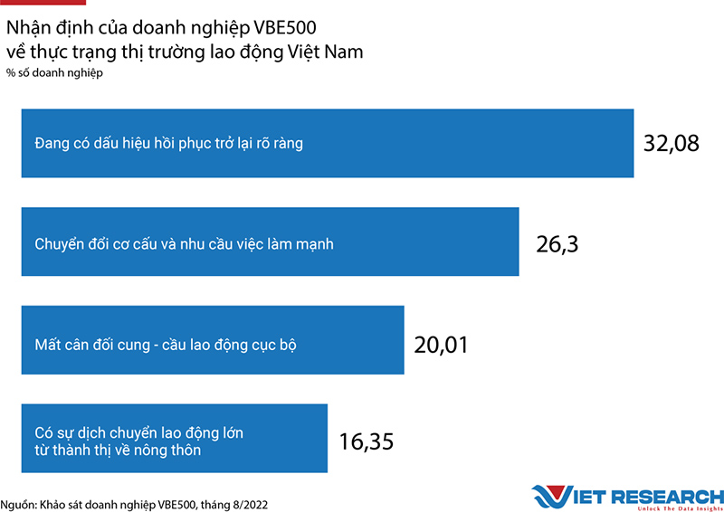 Th Tr Ng Lao Ng Vi T Nam G C Nh N T C C Doanh Nghi P Vbe